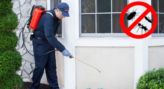 Gölbaşı Böcek İlaçlama böcek ilaçlama ve haşere kontrolü — ilaclama-tr.com